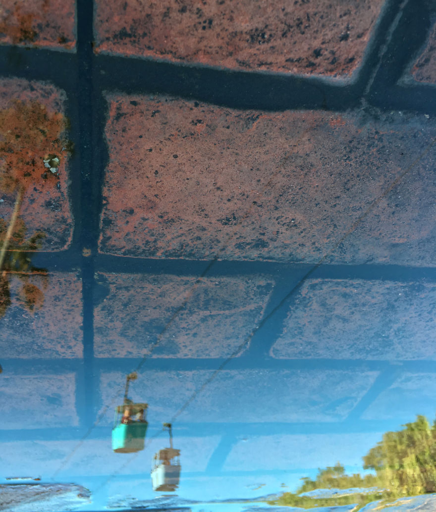 My Photography Captures Everyday Views Of Our World From Puddle Reflections