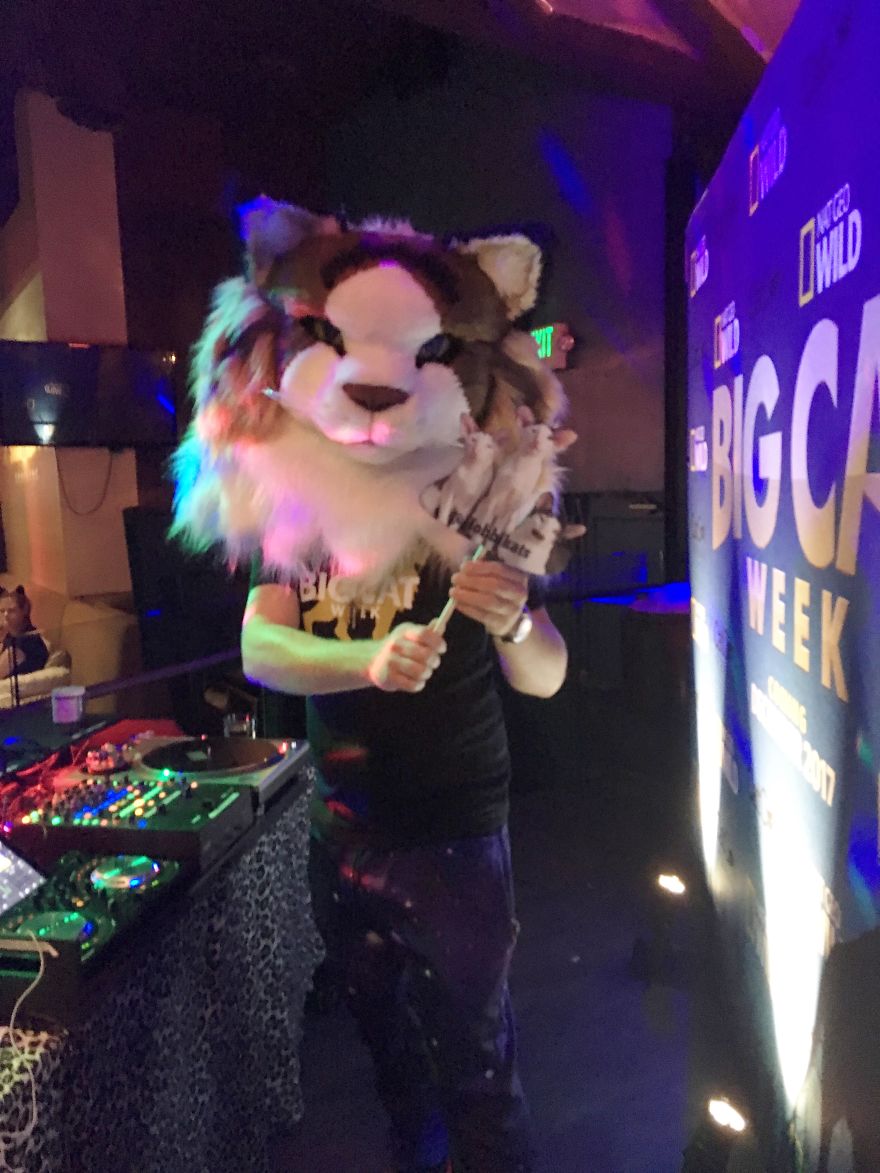 Cat Con Is A Thing, And You Definitely Want To Experience It!