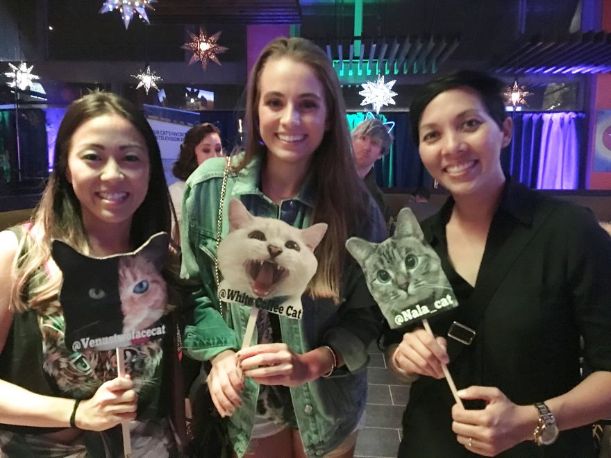 Cat Con Is A Thing, And You Definitely Want To Experience It!