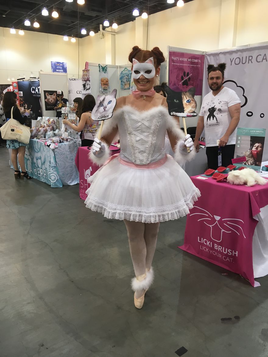 Cat Con Is A Thing, And You Definitely Want To Experience It! Cat Con Is A Thing, And You Definitely Want To Experience It!