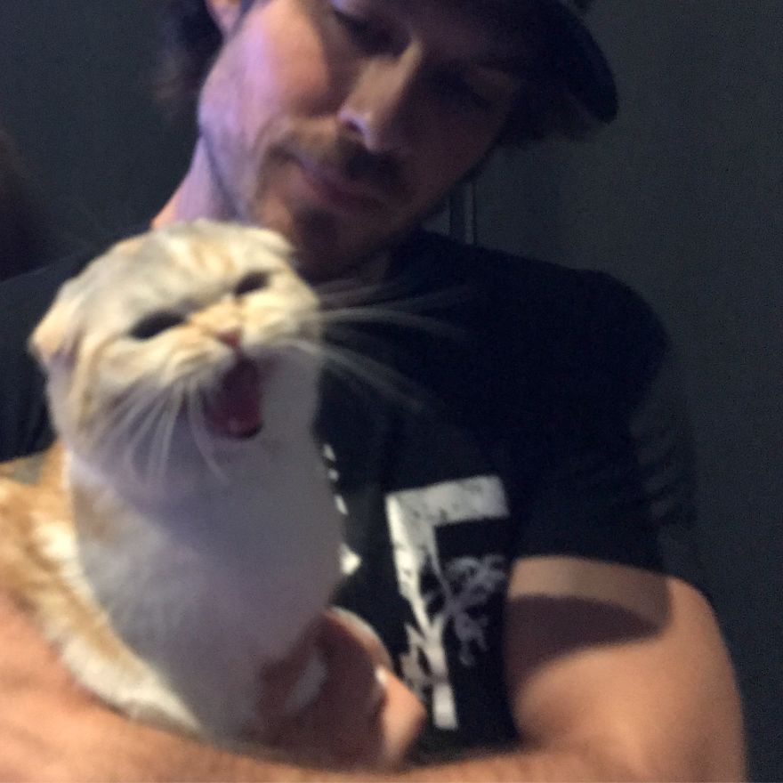 Cat Con Is A Thing, And You Definitely Want To Experience It! Cat Con Is A Thing, And You Definitely Want To Experience It!