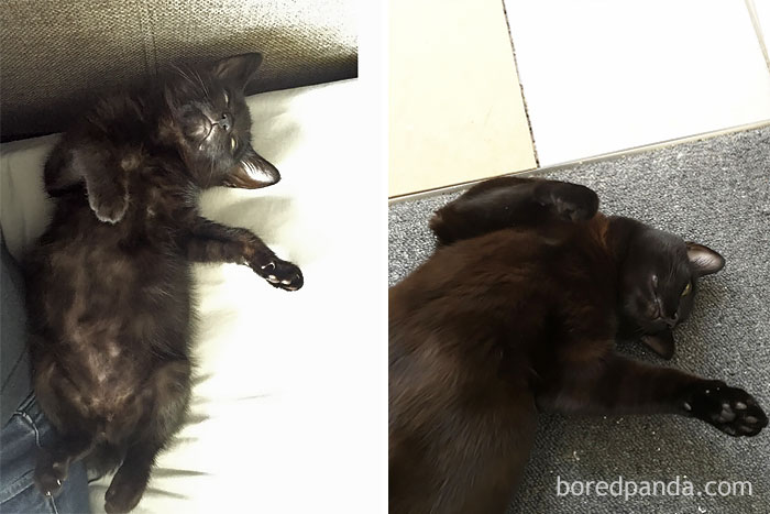 They Grow Up So Quickly