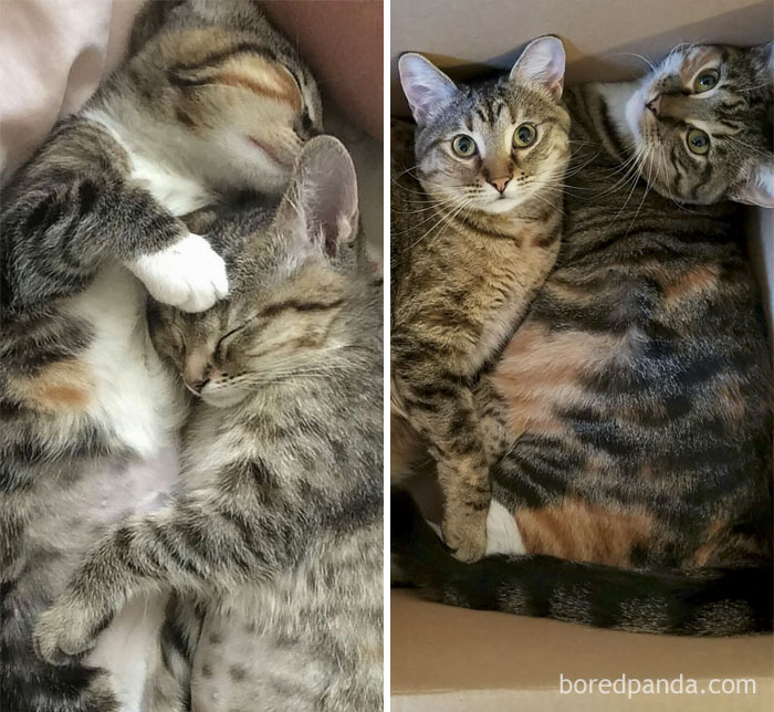 They Grow Up So Fast