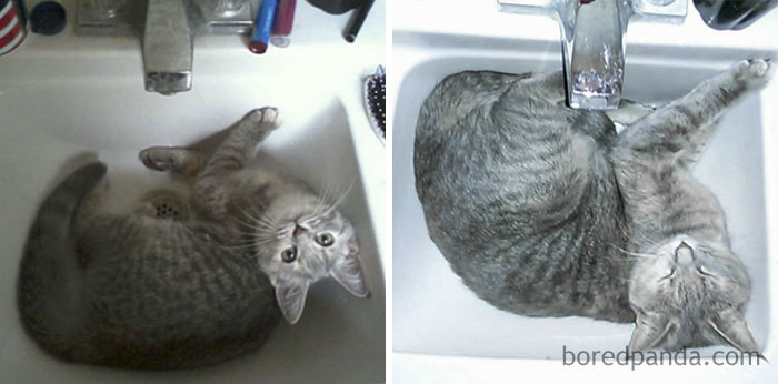 They Grow Up Too Fast