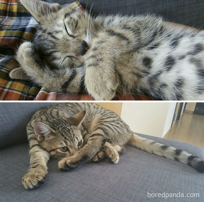 They Grow Up So Fast