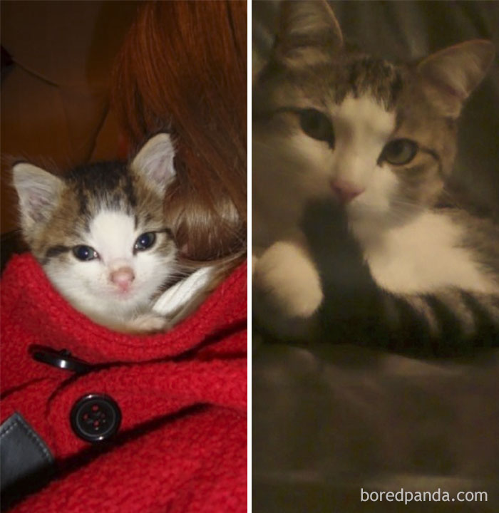 They Grow Up So Fast