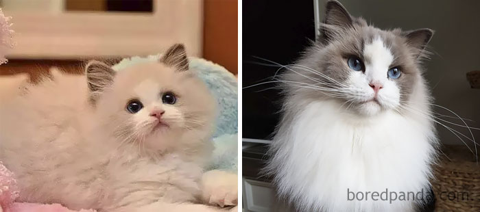 Princess Aurora Then And Now