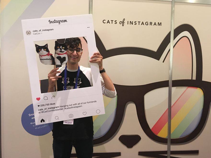 Cat Con Is A Thing, And You Definitely Want To Experience It!
