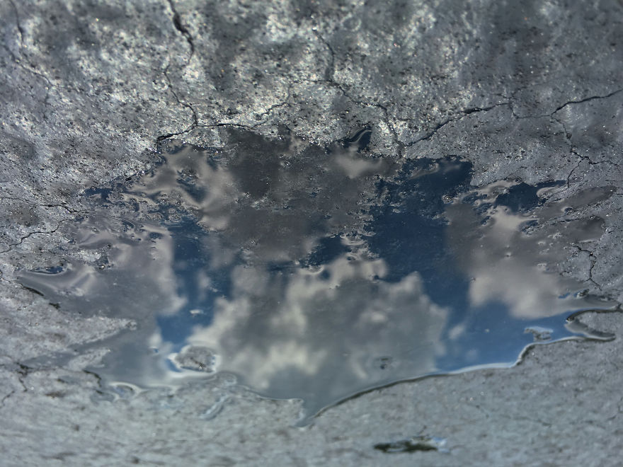 My Photography Captures Everyday Views Of Our World From Puddle Reflections