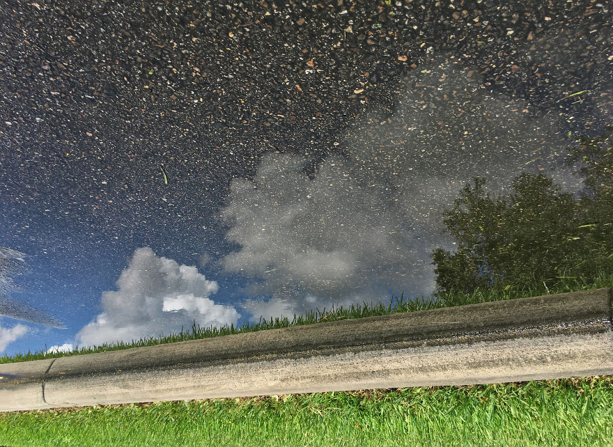 My Photography Captures Everyday Views Of Our World From Puddle Reflections My Photography Captures Everyday Views Of Our World From Puddle Reflections