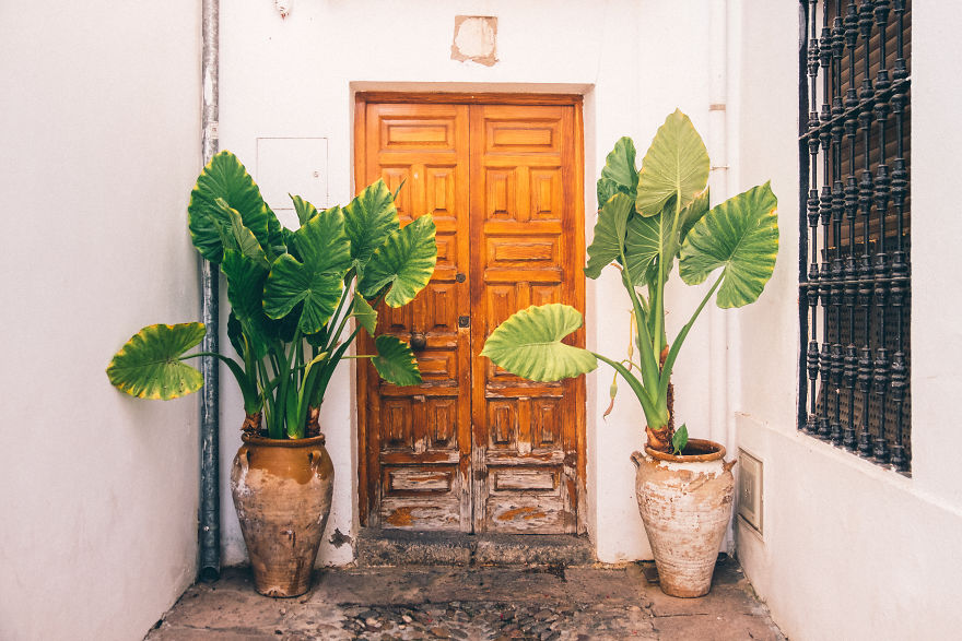The Colours Of Andalusia