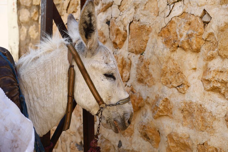 I Went To One Of The Most Dangerous Parts Of Turkey- This Is What I Saw