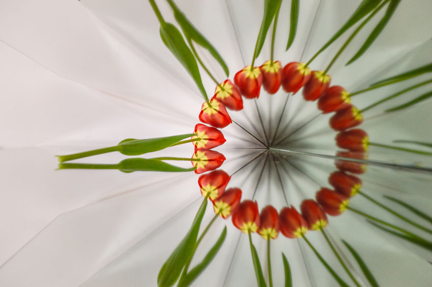 Reflections – I Played With Mirrors To Create Abstract Geometric Views Reflections – I Played With Mirrors To Create Abstract Geometric Views