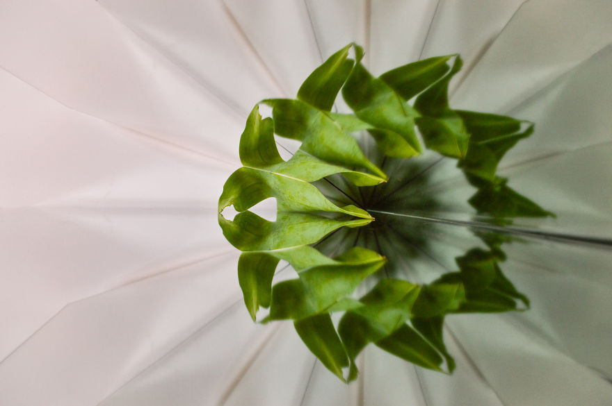 Reflections &ndash; I Played With Mirrors To Create Abstract Geometric Views