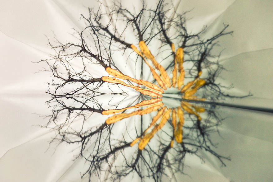 Reflections &ndash; I Played With Mirrors To Create Abstract Geometric Views