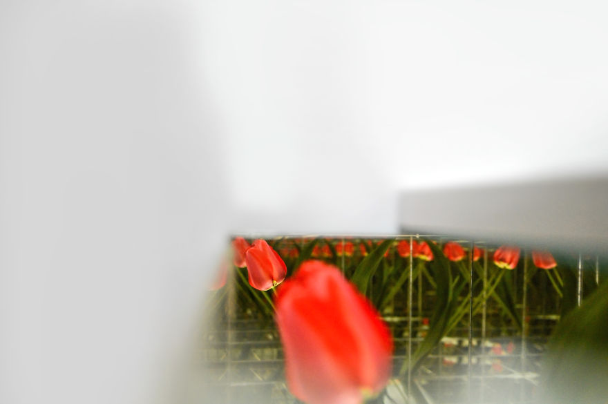 Reflections – I Played With Mirrors To Create Abstract Geometric Views Reflections – I Played With Mirrors To Create Abstract Geometric Views