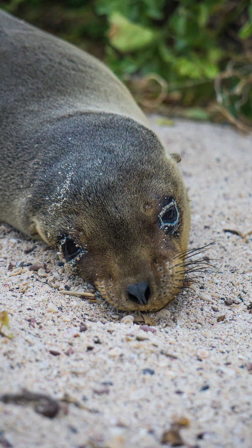 Sand Eyeliner
