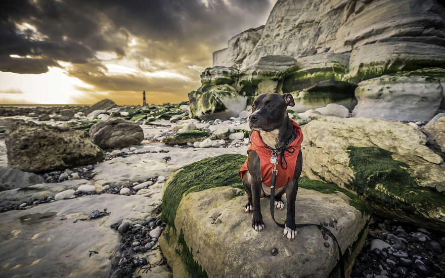 Beachy Head, England