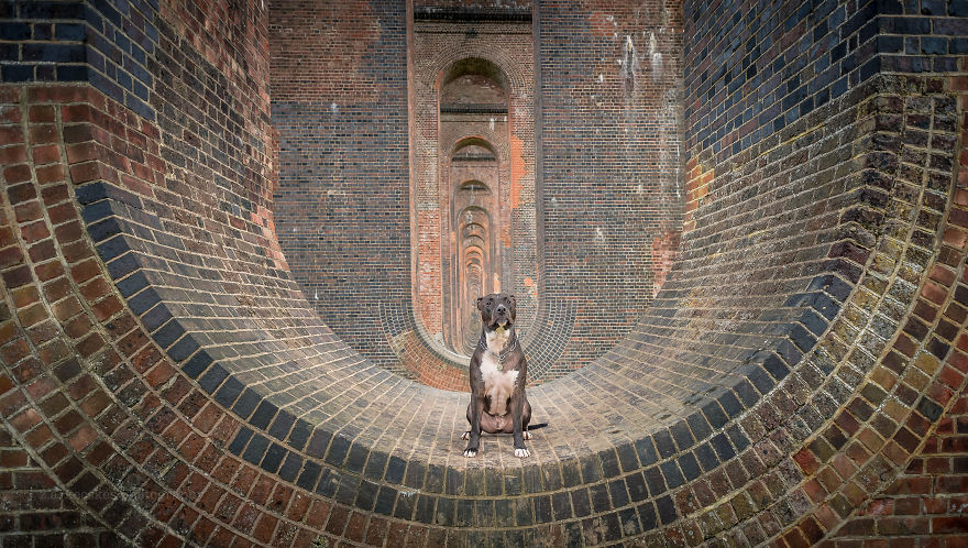 Ouse Valley Viaduct, England
