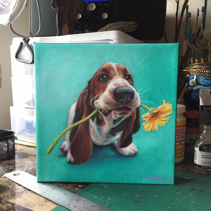Dean The Basset