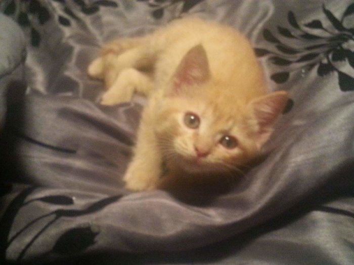 The Sweet Angel (we Thought Was A Boy) That We Found Abandoned In The Bushes.