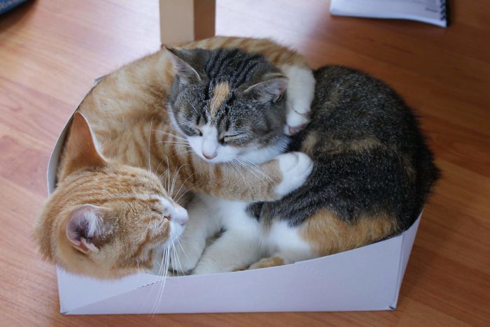 I Luv You Mom, We Fit Together :)