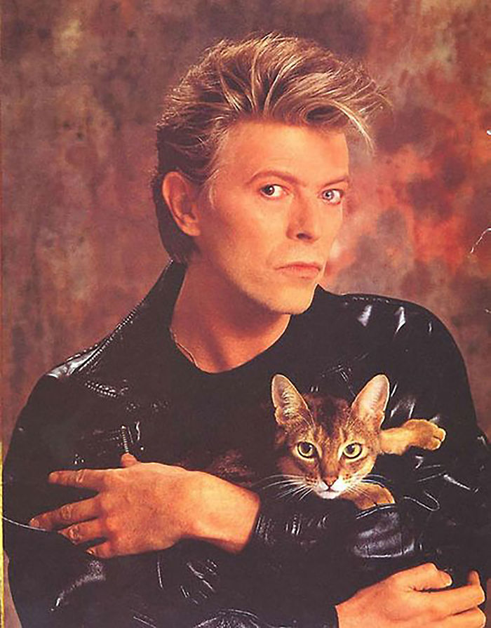Famous person in a black leather jacket holding a brown cat, showcasing the bond between famous people and their cats.