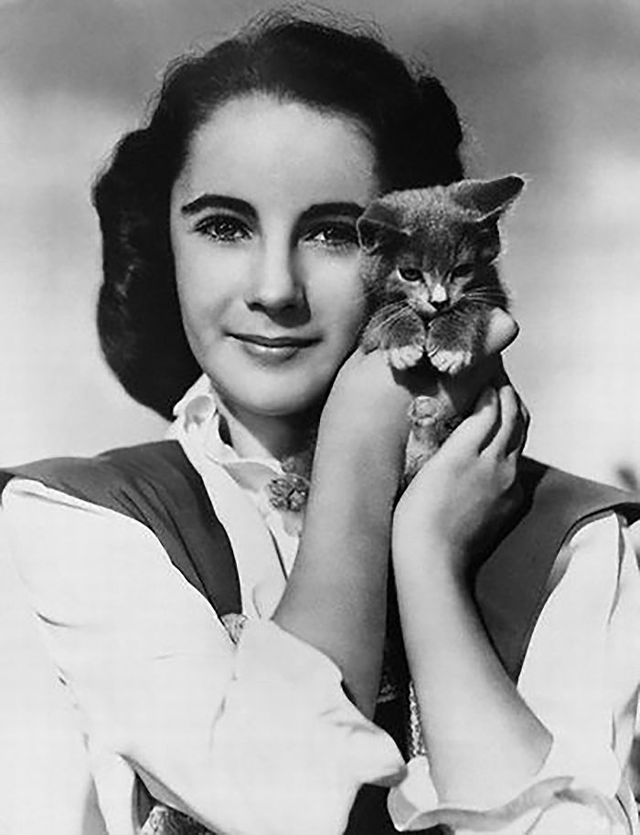 Black and white photo of a famous woman holding a kitten close to her face showing affection with cats.