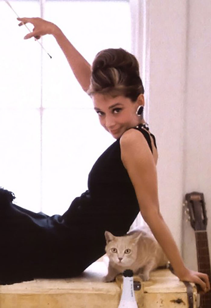 Iconic famous woman in a black dress posing with her light-colored cat next to a guitar in a bright room with natural light.