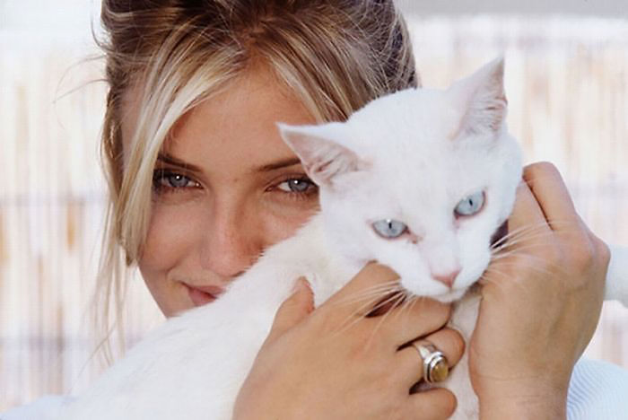Blonde woman holding a white cat with blue eyes close to her face in a cozy indoor setting, famous people with cats.