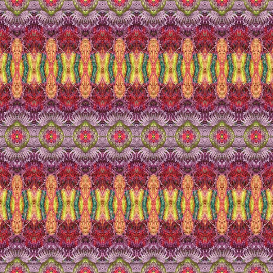 Flowers For Your Imagination Flowers For Your Imagination