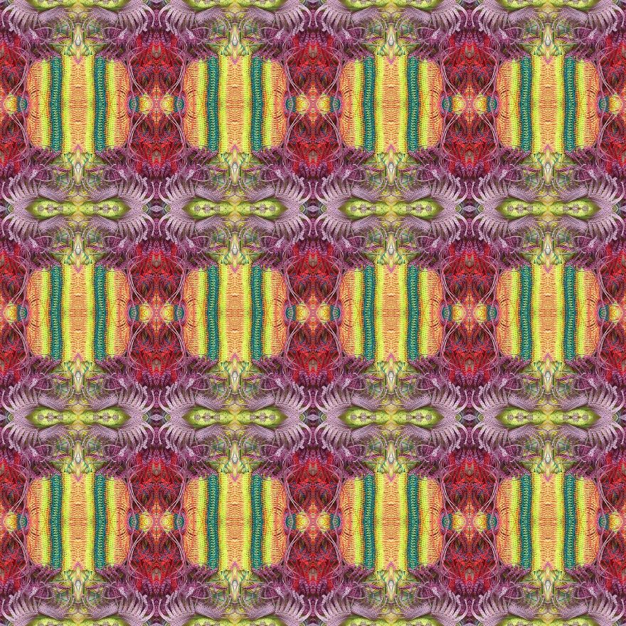 Flowers For Your Imagination Flowers For Your Imagination