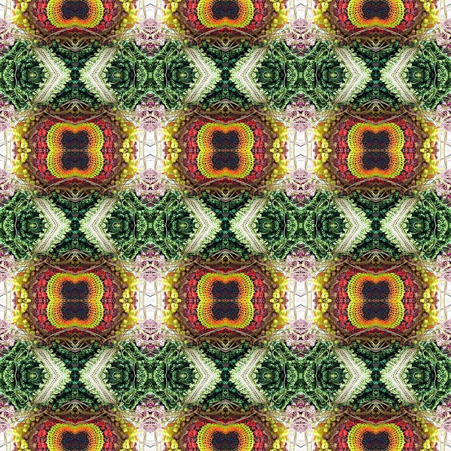 Flowers For Your Imagination