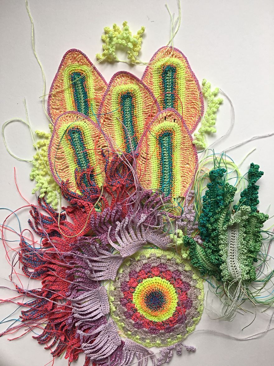 Flowers For Your Imagination Flowers For Your Imagination