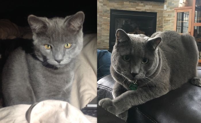 Our Little Poppy! He Is Now Three Years Old!