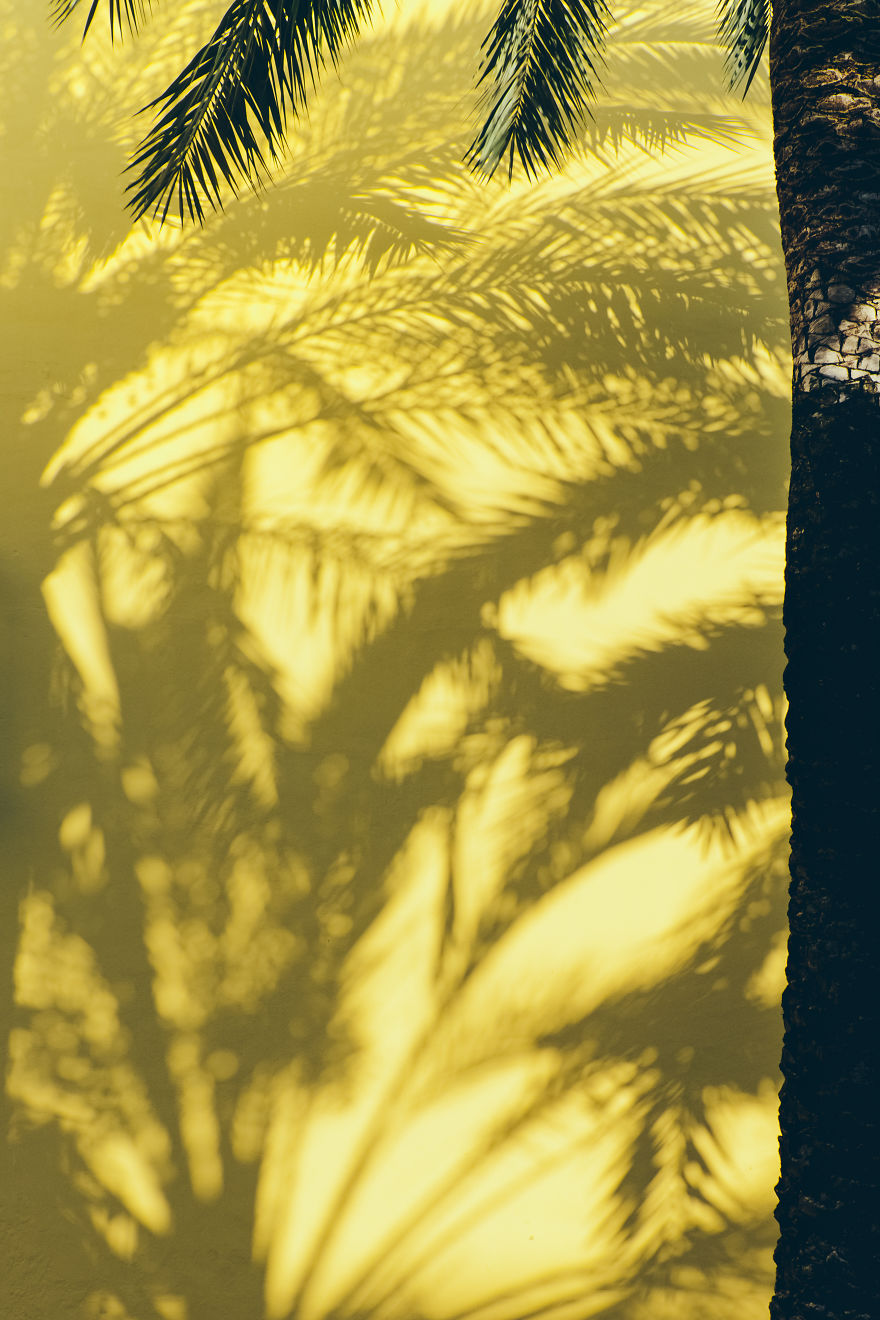 The Colours Of Andalusia