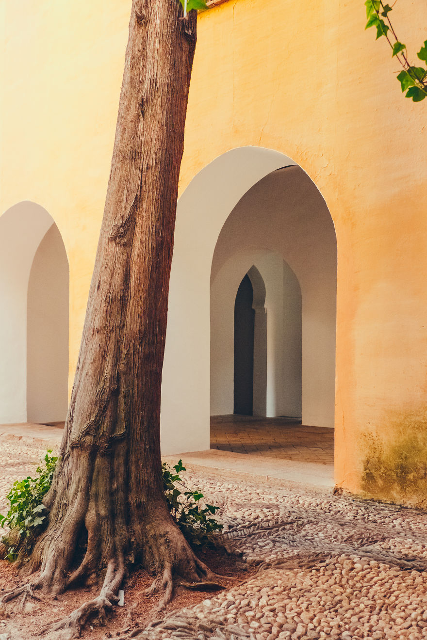 The Colours Of Andalusia