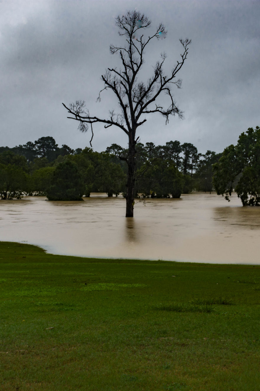 I Documented The Aftermath Of The Hurricane Harvey In North Houston