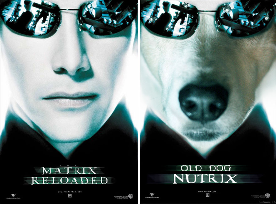 I Photoshop My Dog Into Movie Posters