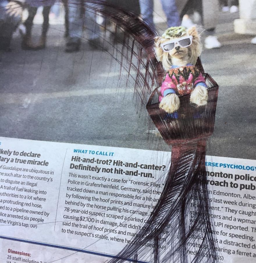 I Doodle Roller Coasters Onto The Daily Paper