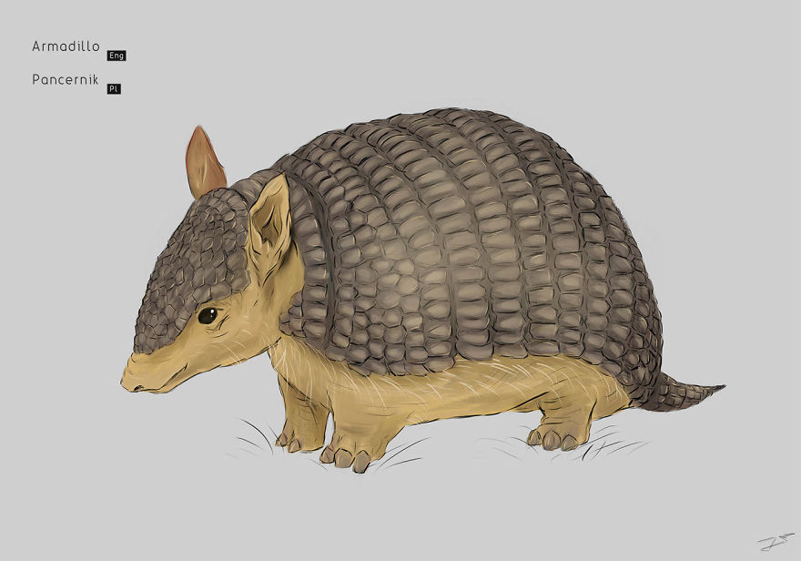 I Drew Animals You've Probably Forgotten About