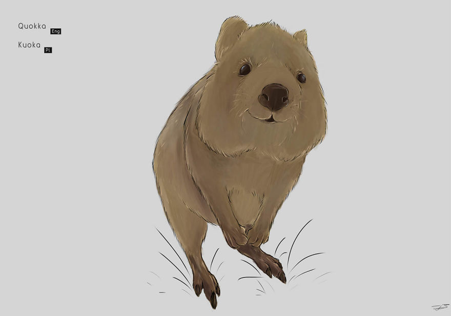 I Drew Animals You've Probably Forgotten About I Drew Animals You've Probably Forgotten About