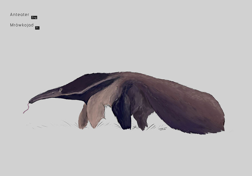 I Drew Animals You've Probably Forgotten About I Drew Animals You've Probably Forgotten About