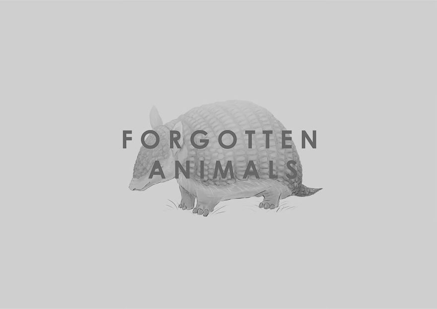 I Drew Animals You've Probably Forgotten About I Drew Animals You've Probably Forgotten About