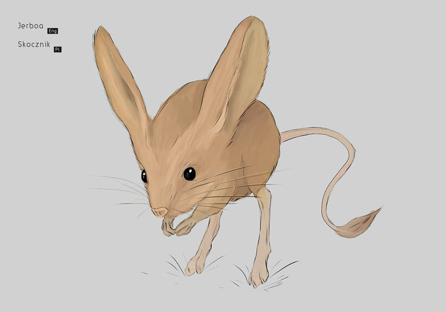 I Drew Animals You've Probably Forgotten About I Drew Animals You've Probably Forgotten About