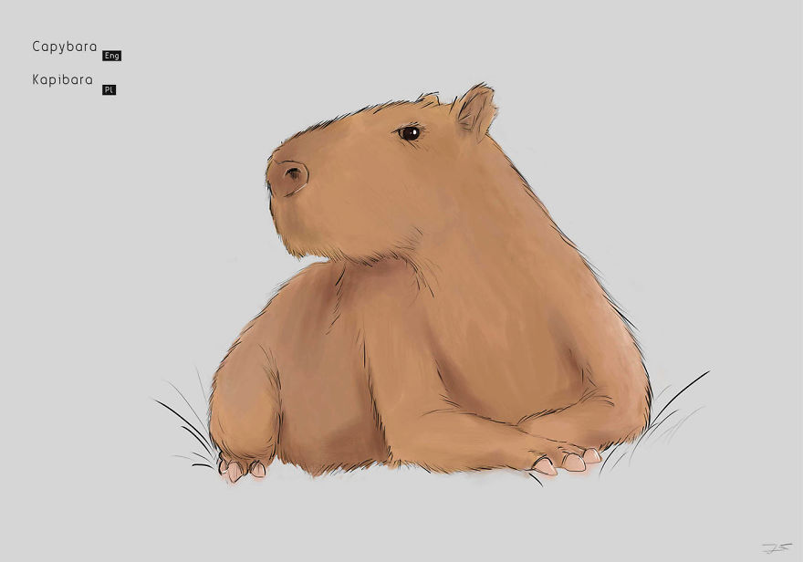 I Drew Animals You've Probably Forgotten About I Drew Animals You've Probably Forgotten About