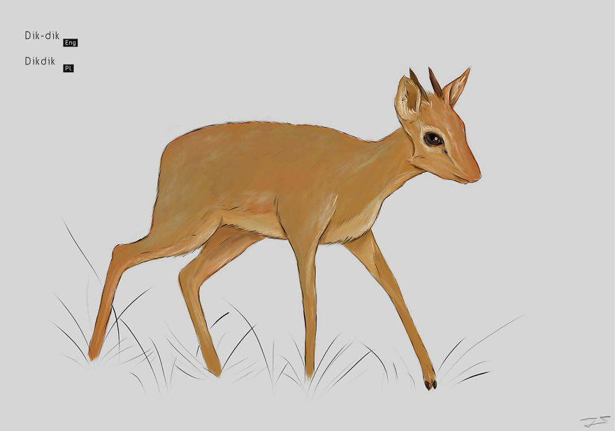 I Drew Animals You've Probably Forgotten About I Drew Animals You've Probably Forgotten About
