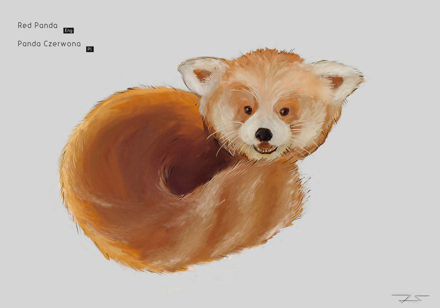 I Drew Animals You've Probably Forgotten About