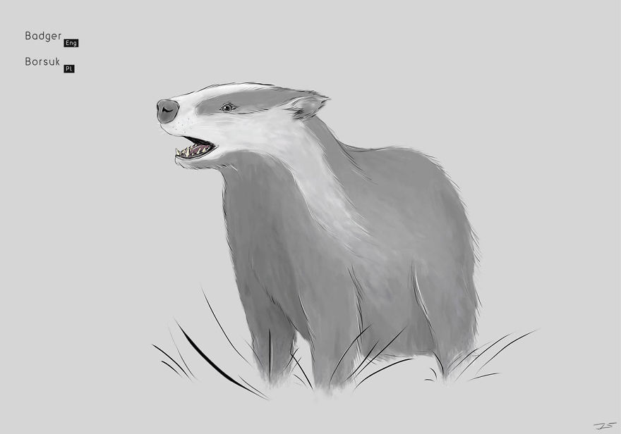 I Drew Animals You've Probably Forgotten About I Drew Animals You've Probably Forgotten About