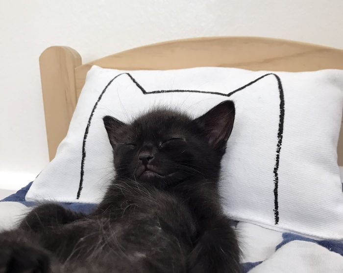 I Make Mini Versions Of My Catnap Pillows For Ikea Duktig Doll Beds To Further Enhance Your Cat Hack